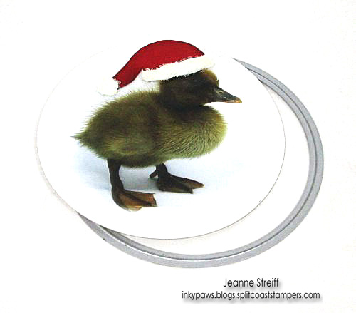 7 Ducky Christmas Jeanne_Streiff